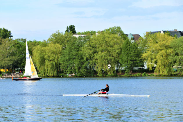 كورسات أونلاين وتجديف وسينما في عطلة نهاية الإسبوع بهامبورغ