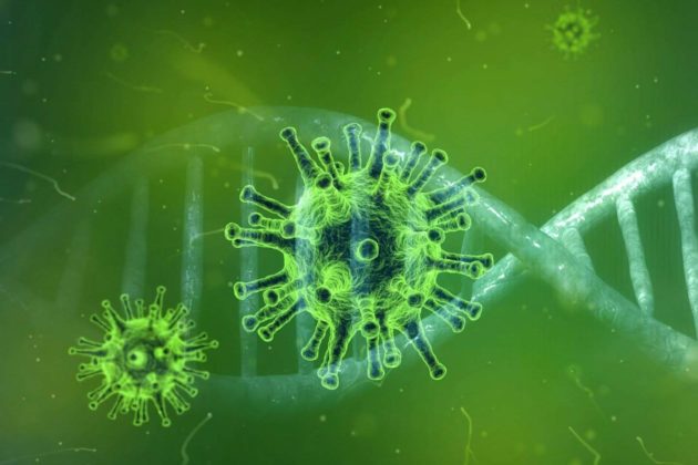 مخاوف من وصول سلالة كورونا الجديدة إلى ألمانيا!