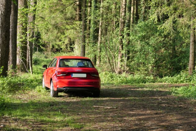 مردی همسرش را دو بار ربود و چندین روز در جنگل نگه ‌داشت