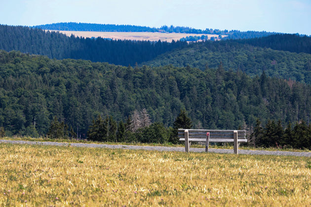 بالصور.. مشاهد بانورامية وقمم عالية في غابة تورينغن