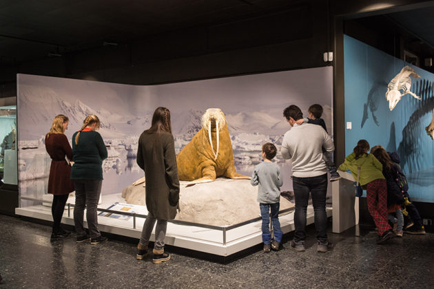 ليلة المتاحف الطويلة في هامبورغ… دخول مجاني للأطفال وفعاليات تمتد حتى الفجر