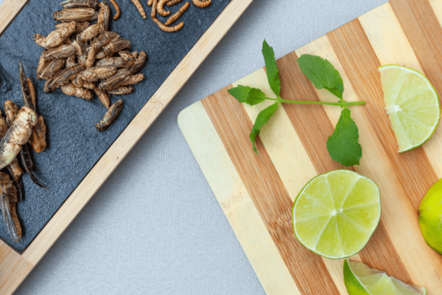 أوروبا وإدراج الحشرات بقائمة الأغذية.. هل علينا الاستعداد لتقبل الفكرة؟