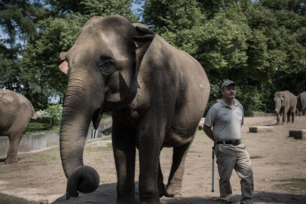آلبوم عکس؛ گشت و گذار در باغ وحش هاگن‌بک