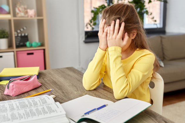 کارگاه تاب آوری؛ راهکاری برای مدیریت استرس در میان دانش‌آموزان