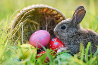 خرگوش عید پاک و تخم مرغ‌های رنگارنگ؛ سنت‌های عید پاک از کجا می‌آیند