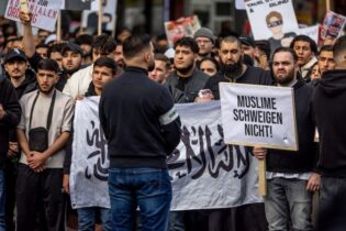 خواسته‌ها و نگرانی‌های احزاب سیاسی پس از تظاهرات اسلام‌گرایان در هامبورگ