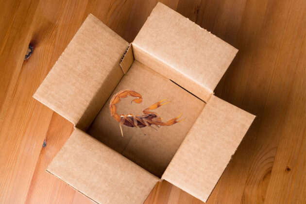 تقرير عقرب “Shein” يشعل مواقع أخبار ألمانية ودولية!