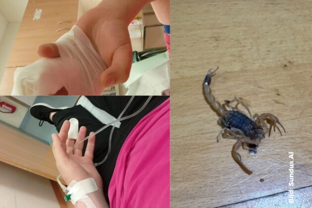 بعد فضيحة العقرب.. شركة “شي إن” تعرض تعويضاً يثير صدمة الضحية!