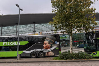 نفرتيتي تريد العودة إلى الوطن