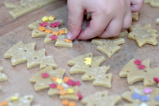 ما الذي سيتغير بكانون الأول/ ديسمبر 2025 في ألمانيا